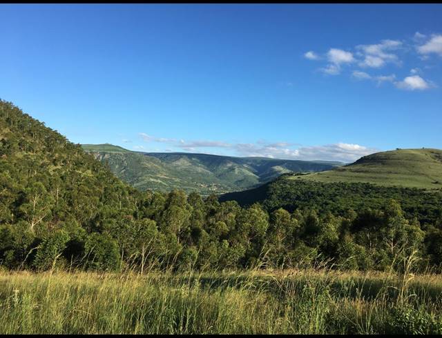 1,845HA FARM FOR SALE IN NGODWANA